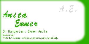 anita emmer business card